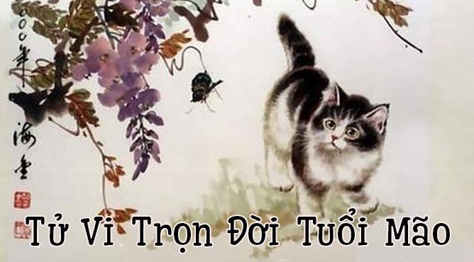 tử vi trọn đời tuổi mão