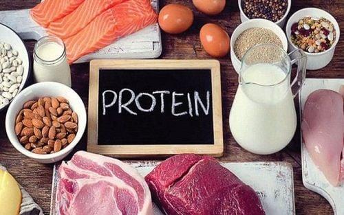 Protein giúp xây dựng cơ bắp