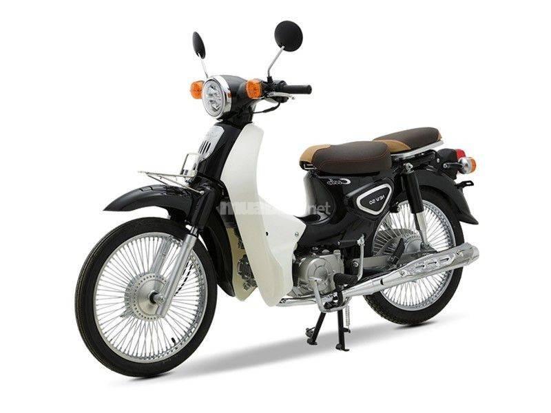 Xe Honda Cub 81