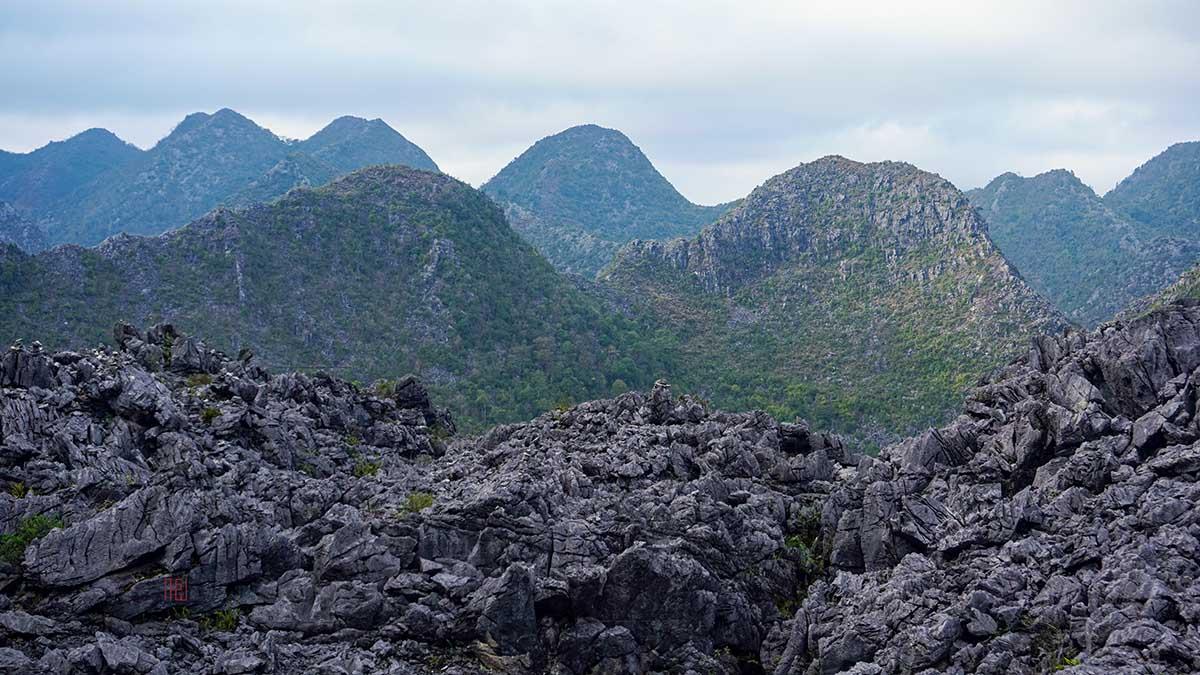 nguyên nhân chính tạo ra địa hình karst là gì