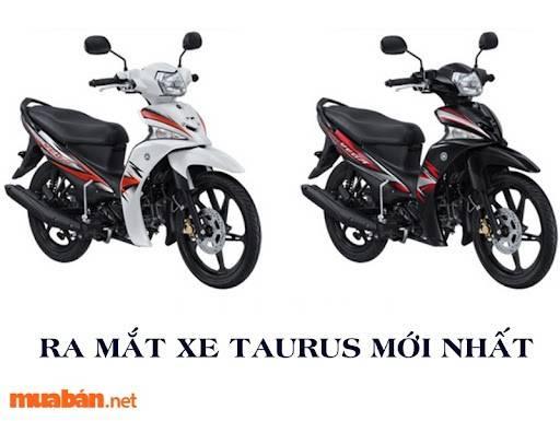 Xe Taurus cũ đang là một trong những dòng xe được khách hàng yêu thích trên thị trường xe máy