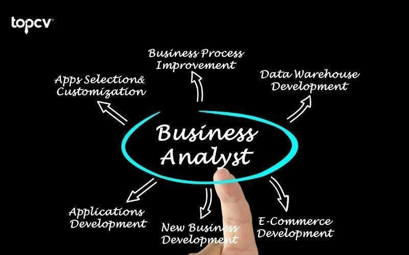 Business Analyst là người thu thập, phân tích và giải quyết một vấn đề cho doanh nghiệp hoặc khách hàng