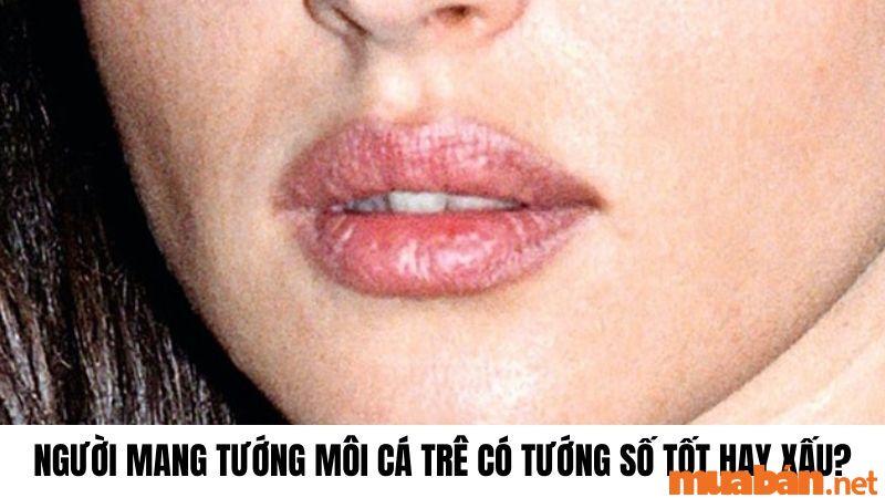 Tướng môi cá trê