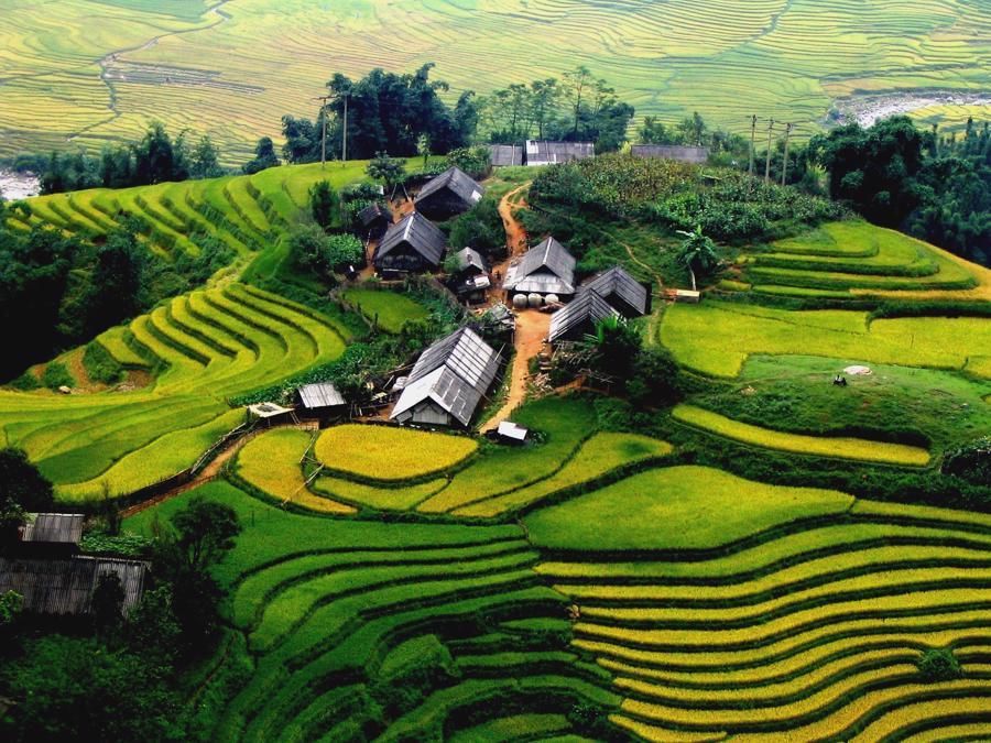 Th&aacute;ng 9 l&agrave; thời điểm đẹp nhất để du kh&aacute;ch l&ecirc;n huyện v&ugrave;ng cao Ho&agrave;ng Su Ph&igrave; (H&agrave; Giang).