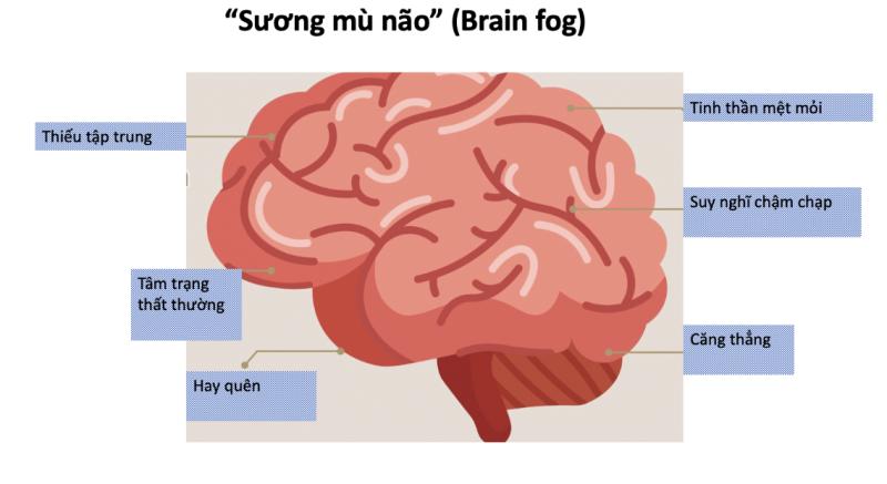 Hậu COVID-19: Vì sao có tình trạng 'nhớ nhớ quên quên', mất tập trung? - Bệnh viện Bãi Cháy