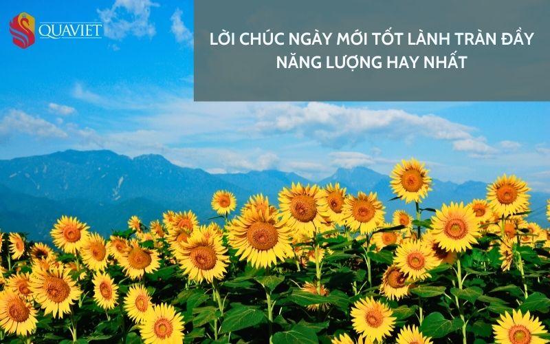 Lời chúc ngày mới tốt lành tràn đầy năng lượng