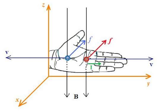 bai-22-luc-lo-ren-xo-hinh-1