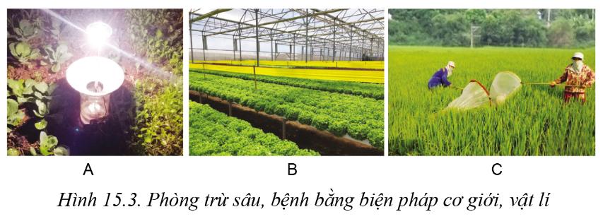 Lý thuyết biện pháp phòng trừ sâu, bệnh hại cây trồng - Công nghệ 10</>