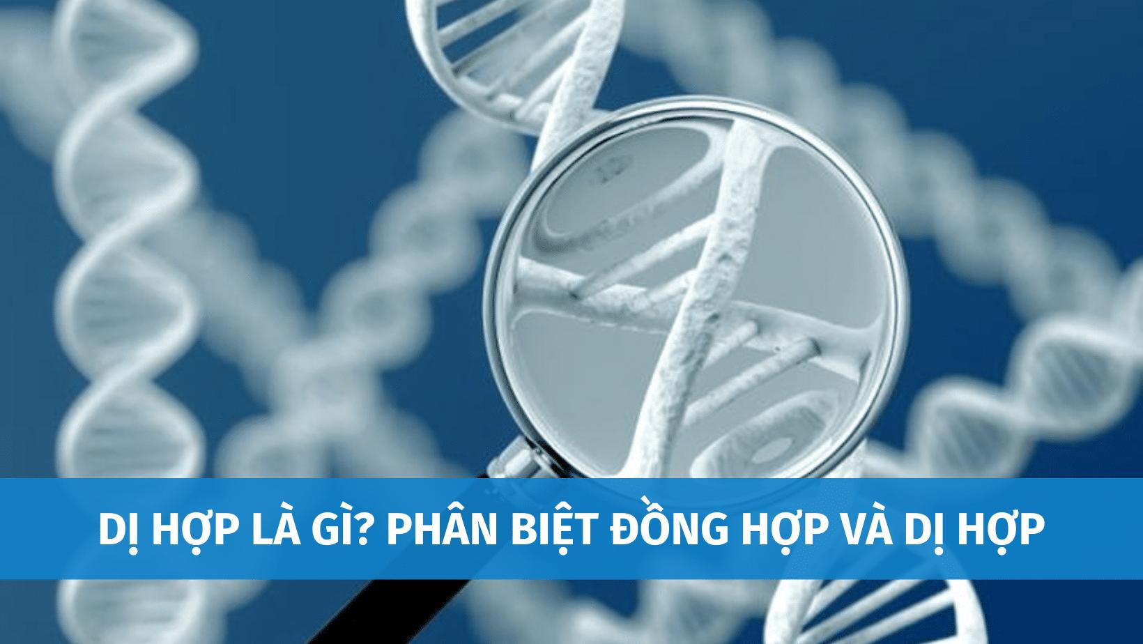 dị hợp là gì